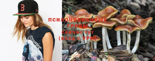 метадон Аркадак