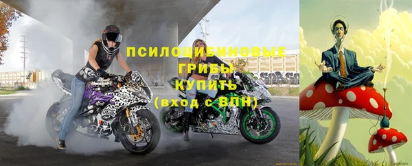 круглые Арсеньев