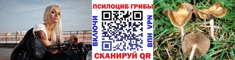 Купить  Моршанск  Галлюциногенные грибы Cubensis 